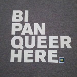 BI PAN QUEER HERE TSHIRT  Size XL Unisex  Brand: HRC.ORG Color Gray and white